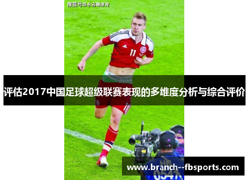 评估2017中国足球超级联赛表现的多维度分析与综合评价 评估2017中国足球超级联赛表现的多维度分析与综合评价