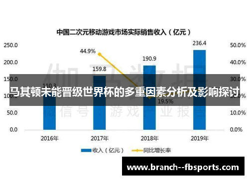 马其顿未能晋级世界杯的多重因素分析及影响探讨 马其顿未能晋级世界杯的多重因素分析及影响探讨