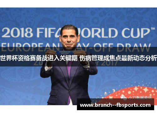 世界杯资格赛备战进入关键期 伤病管理成焦点最新动态分析