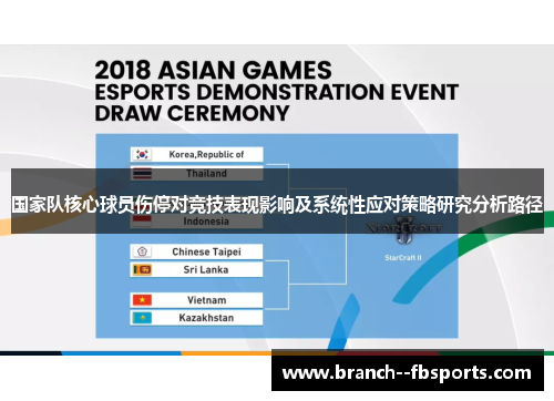 国家队核心球员伤停对竞技表现影响及系统性应对策略研究分析路径