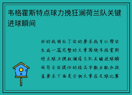 韦格霍斯特点球力挽狂澜荷兰队关键进球瞬间